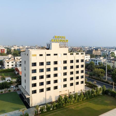 Hotel Marigold Джайпур Екстериор снимка